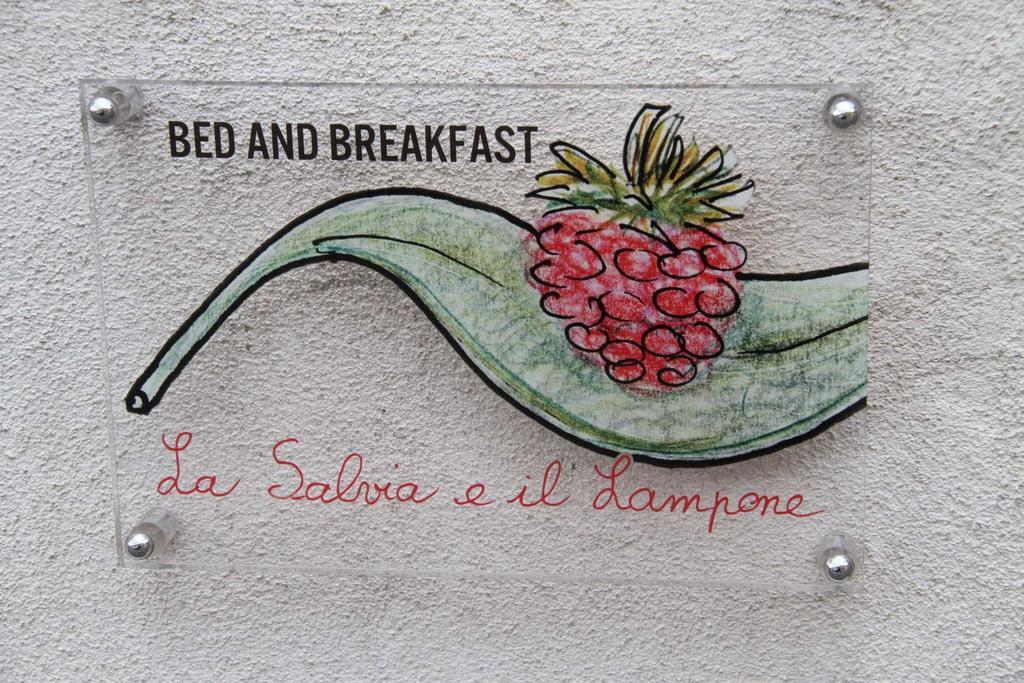 La Salvia E Il Lampone Bed & Breakfast Pove del Grappa Bagian luar foto